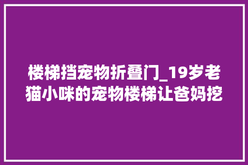 楼梯挡宠物折叠门_19岁老猫小咪的宠物楼梯让爸妈挖空心思边不雅观察边修改