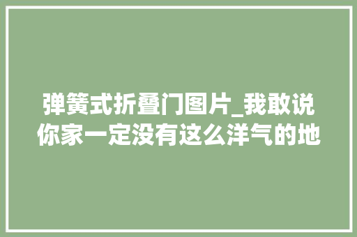 弹簧式折叠门图片_我敢说你家一定没有这么洋气的地弹簧门