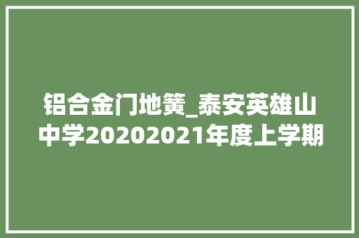 铝合金门地簧_泰安英雄山中学20202021年度上学期工作总结之总务处篇