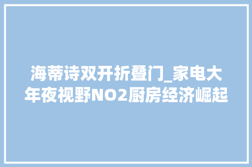 海蒂诗双开折叠门_家电大年夜视野NO2厨房经济崛起敢问路在何方