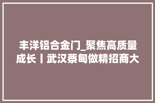 丰洋铝合金门_聚焦高质量成长丨武汉蔡甸做精招商大年夜文章知音桑梓觅知音 玻璃门