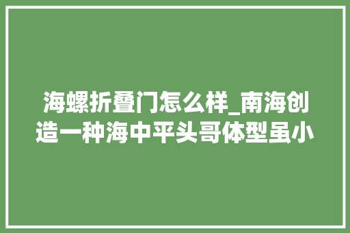 海螺折叠门怎么样_南海创造一种海中平头哥体型虽小但威力惊人随便纰漏就把海螺敲碎