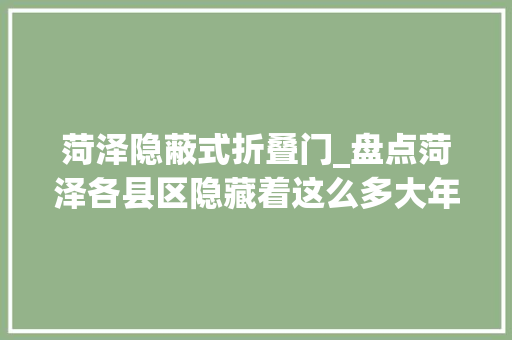 菏泽隐蔽式折叠门_盘点菏泽各县区隐藏着这么多大年夜项目三