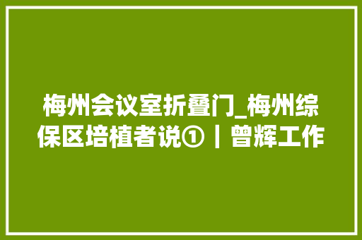 梅州会议室折叠门_梅州综保区培植者说①｜曾辉工作重点从培植转向运营招商