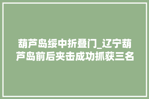 葫芦岛绥中折叠门_辽宁葫芦岛前后夹击成功抓获三名犯罪嫌疑人