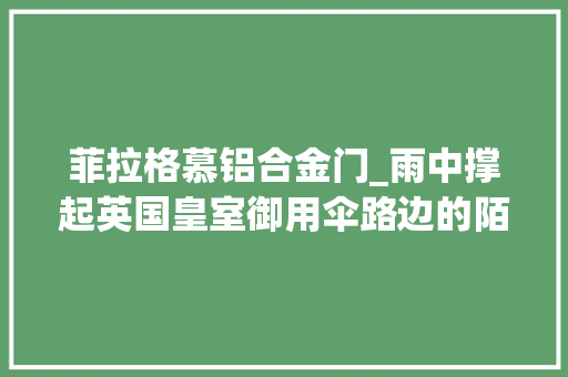 菲拉格慕铝合金门_雨中撑起英国皇室御用伞路边的陌生姑娘主动往我怀中钻
