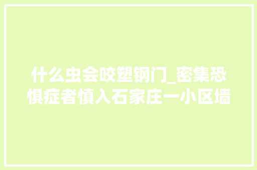 什么虫会咬塑钢门_密集恐惧症者慎入石家庄一小区墙面爬满小虫