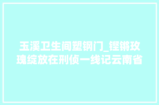 玉溪卫生间塑钢门_铿锵玫瑰绽放在刑侦一线记云南省玉溪市新平县公安局刑侦大年夜队教导员饶惠莹 推拉门