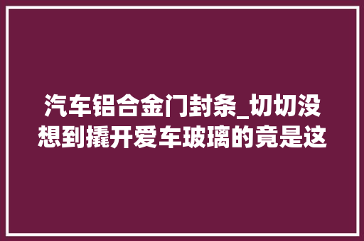 汽车铝合金门封条_切切没想到撬开爱车玻璃的竟是这么一根细针