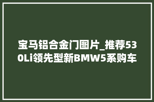 宝马铝合金门图片_推荐530Li领先型新BMW5系购车手册 防火门
