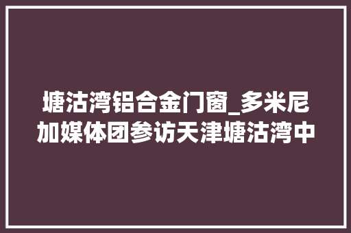 塘沽湾铝合金门窗_多米尼加媒体团参访天津塘沽湾中建微城市
