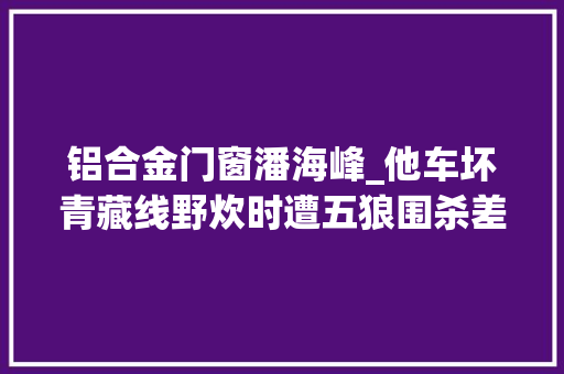 铝合金门窗潘海峰_他车坏青藏线野炊时遭五狼围杀差点命丧可可西里传闻