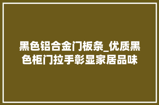 黑色铝合金门板条_优质黑色柜门拉手彰显家居品味