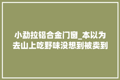 小勐拉铝合金门窗_本以为去山上吃野味没想到被卖到了缅北