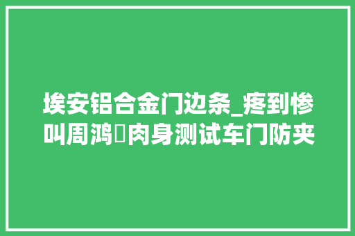 埃安铝合金门边条_疼到惨叫周鸿祎肉身测试车门防夹功能结果惨遭夹手