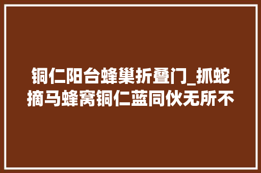 铜仁阳台蜂巢折叠门_抓蛇摘马蜂窝铜仁蓝同伙无所不能