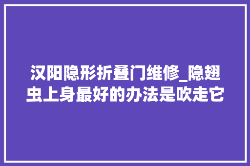 汉阳隐形折叠门维修_隐翅虫上身最好的办法是吹走它