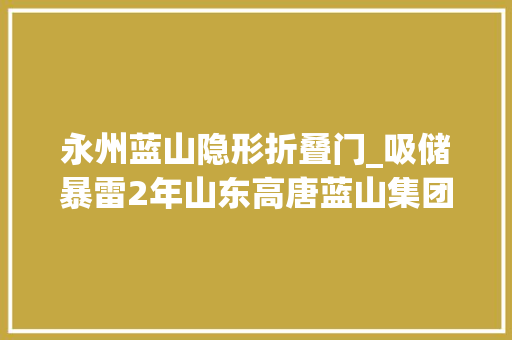 永州蓝山隐形折叠门_吸储暴雷2年山东高唐蓝山集团以楼抵债