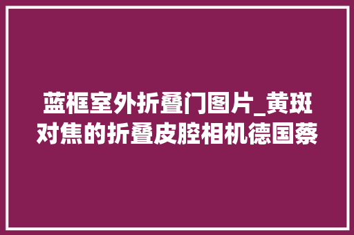 蓝框室外折叠门图片_黄斑对焦的折叠皮腔相机德国蔡司ZeissSuperIkonta530/2