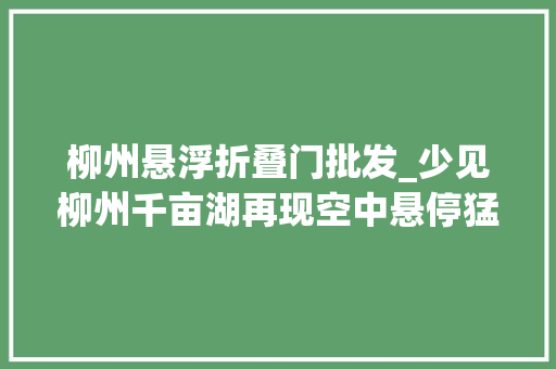 柳州悬浮折叠门批发_少见柳州千亩湖再现空中悬停猛禽镜头拍下这幕