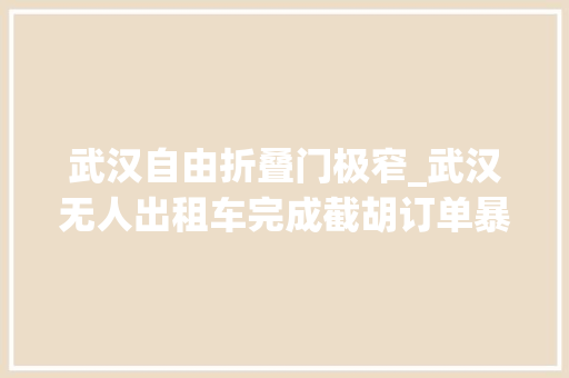 武汉自由折叠门极窄_武汉无人出租车完成截胡订单暴增网友却不愿意了