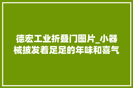 德宏工业折叠门图片_小器械披发着足足的年味和喜气