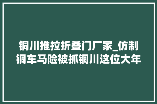 铜川推拉折叠门厂家_仿制铜车马险被抓铜川这位大年夜爷研讨錾雕身手三十年痴心不改