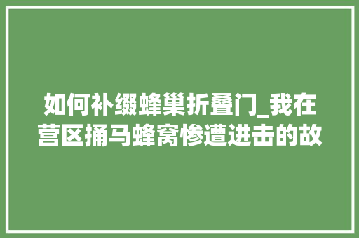 如何补缀蜂巢折叠门_我在营区捅马蜂窝惨遭进击的故事