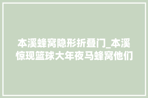 本溪蜂窝隐形折叠门_本溪惊现篮球大年夜马蜂窝他们全副武装上去就捅 塑钢门
