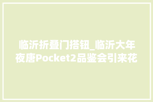 临沂折叠门搭钮_临沂大年夜唐Pocket2品鉴会引来花粉一片叫好声
