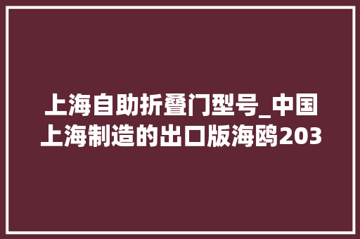 上海自助折叠门型号_中国上海制造的出口版海鸥2031折叠皮腔摄影机