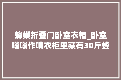蜂巢折叠门卧室衣柜_卧室嗡嗡作响衣柜里藏有30斤蜂窝网友室内蜂蜜好吃吗