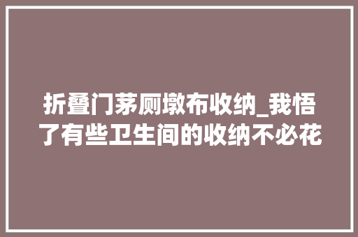 折叠门茅厕墩布收纳_我悟了有些卫生间的收纳不必花太多钱看这些好物就知道了