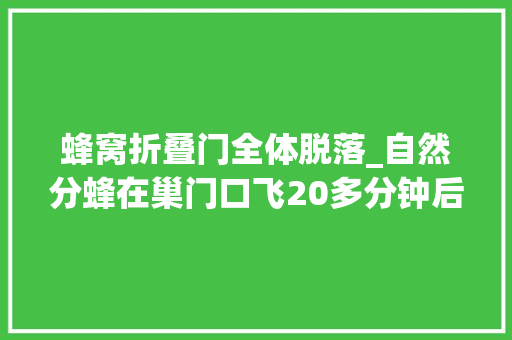 蜂窝折叠门全体脱落_自然分蜂在巢门口飞20多分钟后溘然停止了的是什么问题