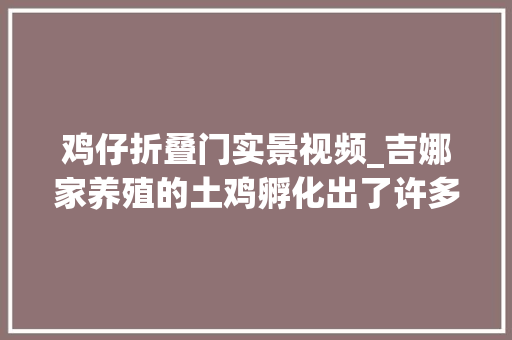 鸡仔折叠门实景视频_吉娜家养殖的土鸡孵化出了许多小鸡仔真的太让人高兴了