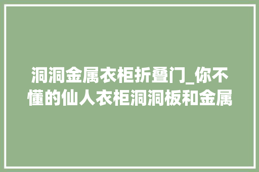 洞洞金属衣柜折叠门_你不懂的仙人衣柜洞洞板和金属架竟然有这种神奇组合