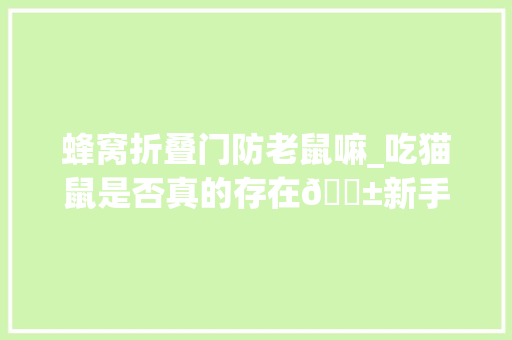 蜂窝折叠门防老鼠嘛_吃猫鼠是否真的存在🐱新手养猫