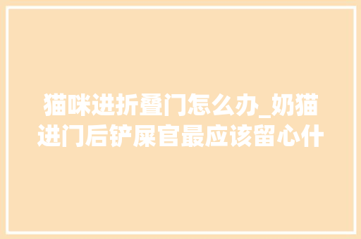 猫咪进折叠门怎么办_奶猫进门后铲屎官最应该留心什么问题呢