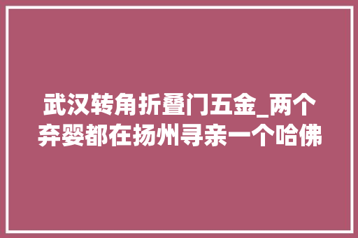 武汉转角折叠门五金_两个弃婴都在扬州寻亲一个哈佛卒业一个硕博连读 铝合金门