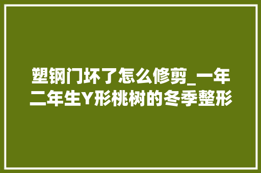 塑钢门坏了怎么修剪_一年二年生Y形桃树的冬季整形修剪技能 折叠门