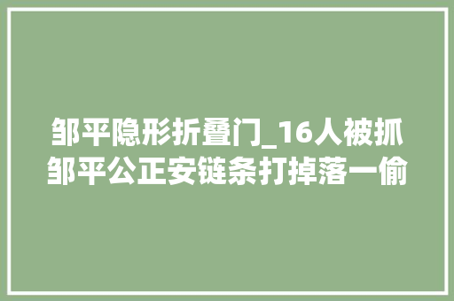 邹平隐形折叠门_16人被抓邹平公正安链条打掉落一偷窃团伙