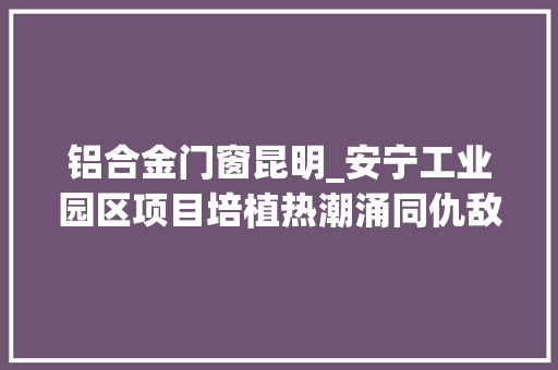 铝合金门窗昆明_安宁工业园区项目培植热潮涌同仇敌忾开好局