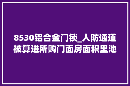 8530铝合金门锁_人防通道被算进所购门面房面积里池州一业主质疑这样也能获预售许可