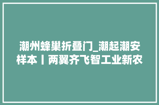 潮州蜂巢折叠门_潮起潮安样本丨两翼齐飞智工业新农业潮前跑