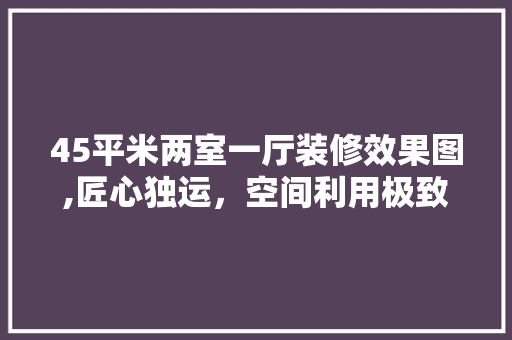 45平米两室一厅装修效果图,匠心独运，空间利用极致