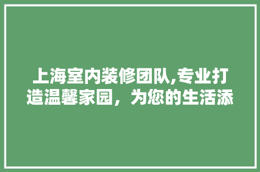 上海室内装修团队,专业打造温馨家园，为您的生活添彩