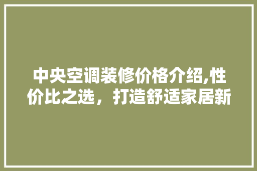 中央空调装修价格介绍,性价比之选，打造舒适家居新体验