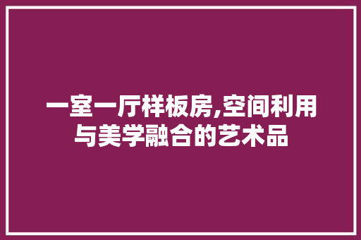 一室一厅样板房,空间利用与美学融合的艺术品