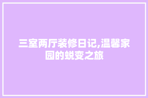 三室两厅装修日记,温馨家园的蜕变之旅