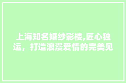 上海知名婚纱影楼,匠心独运，打造浪漫爱情的完美见证
